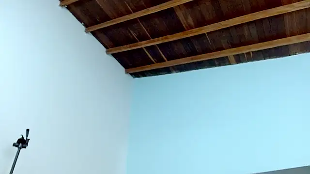 sophia hadid online show from 01/18/25, 07:58