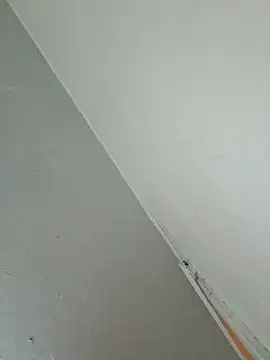 Stomps33 online show from 02/05/26, 10:58