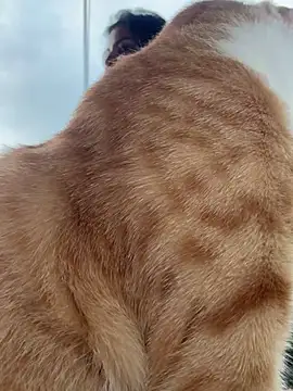 GigiiStone online show from 03/16/25, 10:20