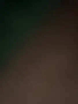 Terrafirma online show from 02/16/25, 11:49