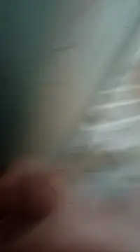 Sexis26 online show from 03/15/25, 08:43