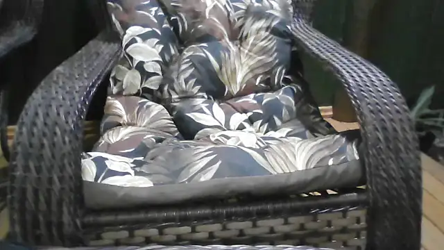 Kellynha Sweet online show from 12/21/25, 01:13