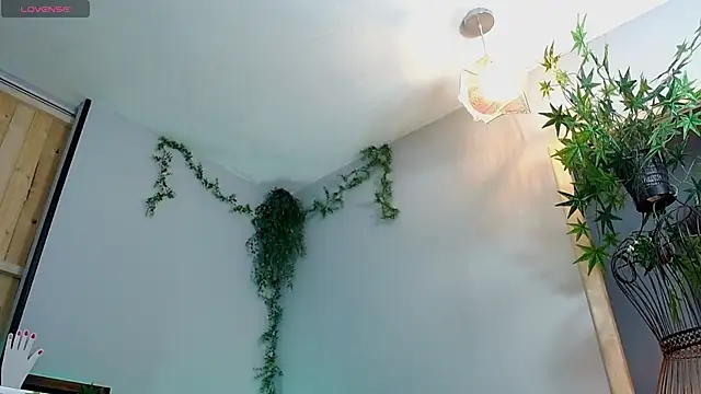 VickyJackson  online show from 01/21/25, 07:50