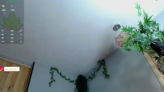 VickyJackson  online show from 01/27/25, 05:04