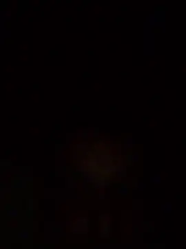 Supreme Packman online show from 02/19/25, 04:44