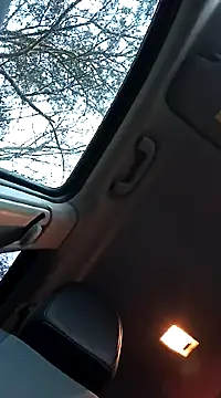 ichgross online show from 02/04/25, 04:18