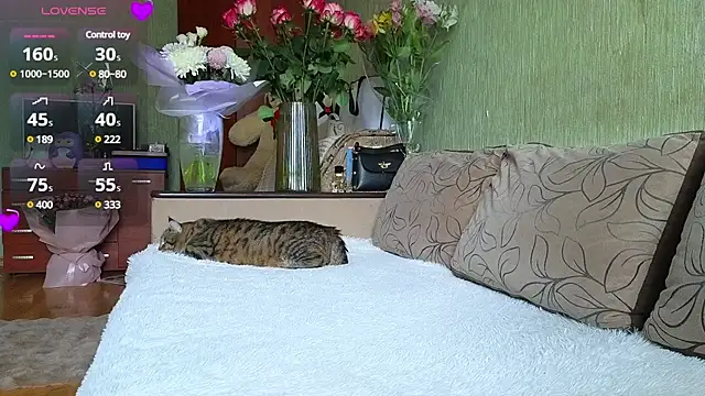 Miss Flexi fit online show from 03/15/25, 08:37