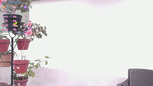 darshajaya online show from 03/17/26, 07:39