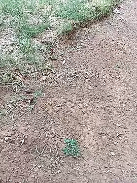 Vuyokaki online show from 02/03/26, 03:06