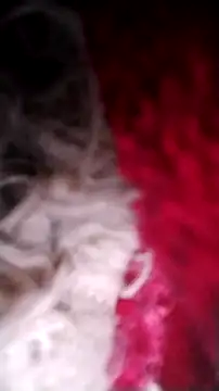 Bigcockmexi13 online show from 10/12/25, 03:11