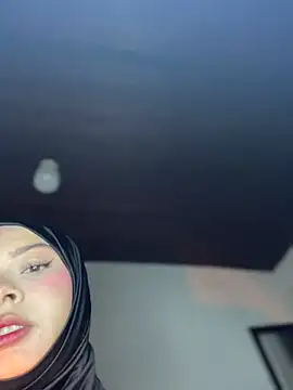 Snapshot of aneesa_darzi chatting on 08/01/26, 11:25 aneesa darzi online show from 08/01/26, 11:25
