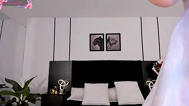 Doll troy online show from 02/19/26, 02:02