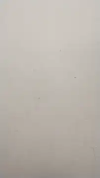 Snapshot of Shuttii_25 chatting on 01/25/25, 10:08 Shuttii 25 online show from 01/25/25, 10:08