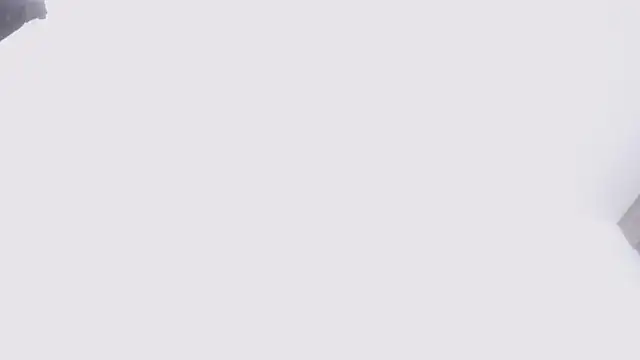 drake brwon 23 online show from 04/21/26, 07:50