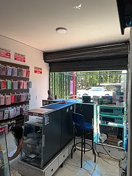  alabina  online show from 01/13/26, 02:44