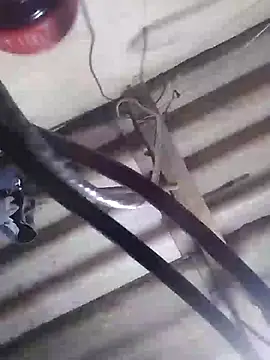 davidatration15 online show from 03/05/25, 01:10