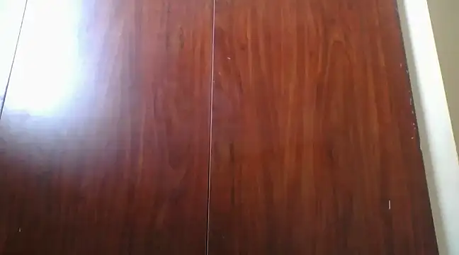 Snapshot of prettychic5 chatting on 12/12/24, 12:33 prettychic5 online show from 12/12/24, 12:33