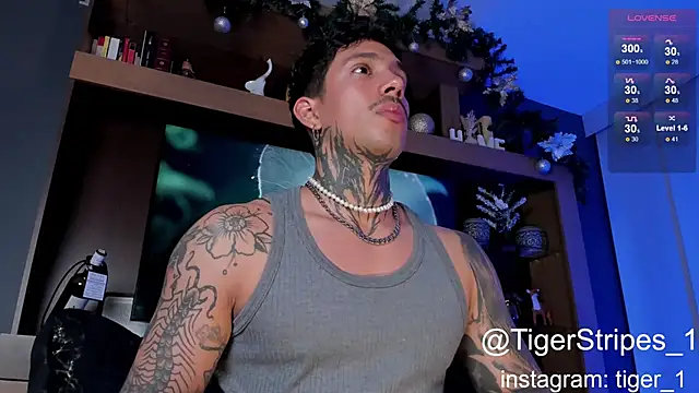 TigerStripes1  online show from 01/04/25, 04:44
