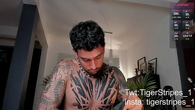 TigerStripes1  online show from 02/28/25, 12:43