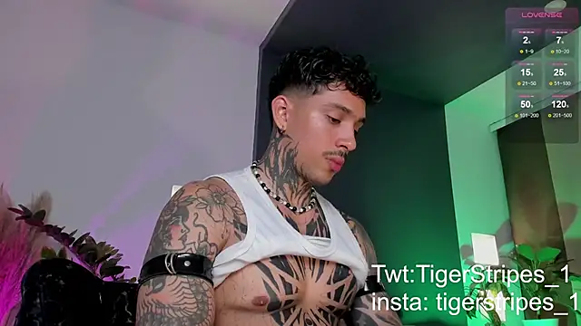 TigerStripes1  online show from 03/22/25, 12:39