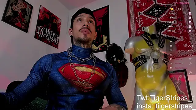 TigerStripes1  online show from 03/21/26, 08:41