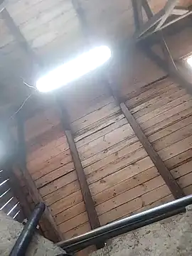 lotrando54 online show from 12/29/24, 07:50