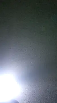 Snapshot of Elcogetuquieres chatting on 01/08/25, 05:16 Elcogetuquieres online show from 01/08/25, 05:16